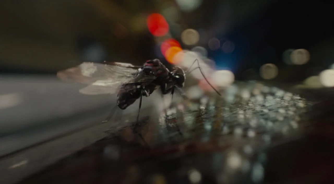 Ant-Man (2015) movie still: closeup — A small black insect stands on a wet, dark surface at night. Blurred city lights twinkle in the deep…