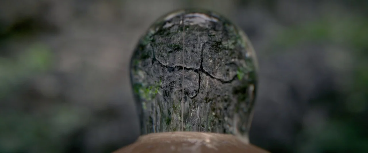 Pirates of the Caribbean: On Stranger Tides movie still: closeup — A translucent bulbous object rests in dark forest soil with moss and textures.…