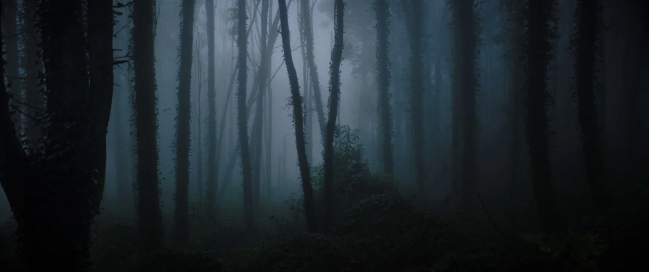 Colour Out of Space (2020) movie still: establishing — A dense cluster of tall, vertical tree trunks stands in a misty woodland environment. Thick…