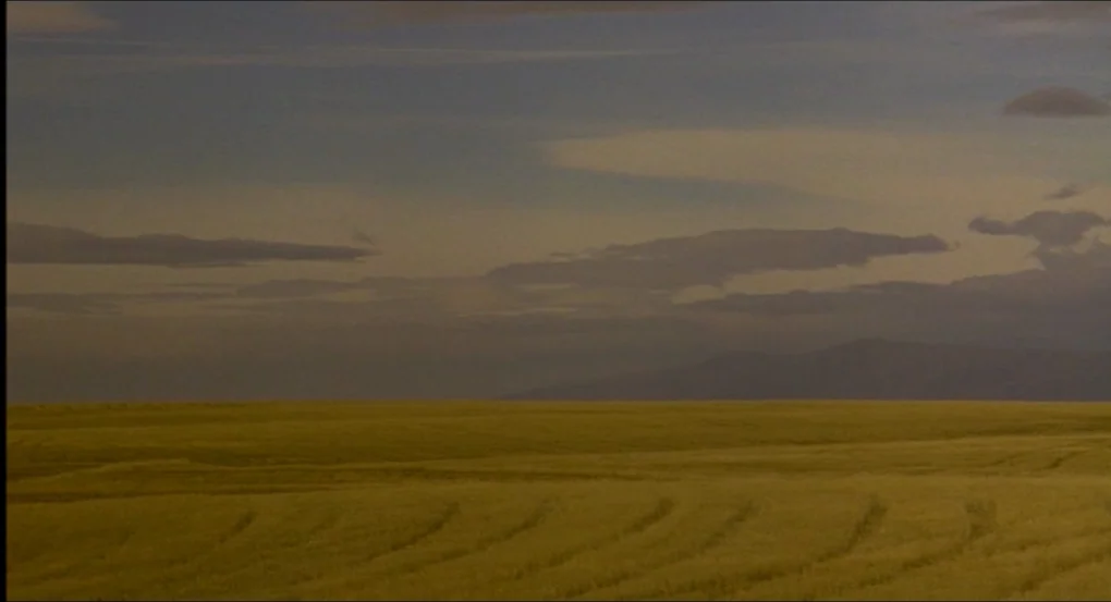 My Own Private Idaho (1991) movie still: establishing — A vast field of yellow crops stretches toward distant mountains under a cloudy sky. The…