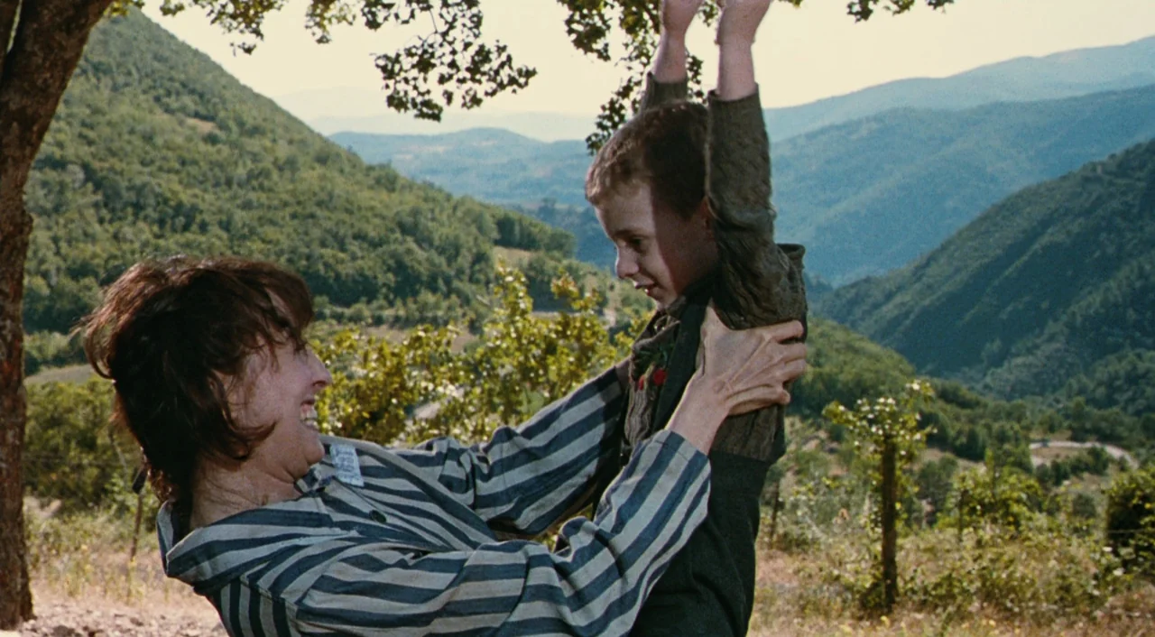 Life is Beautiful (1997) movie still: medium — A sunny hillside overlooks a mountainous valley with dense green forest and distant ridges. An adult…