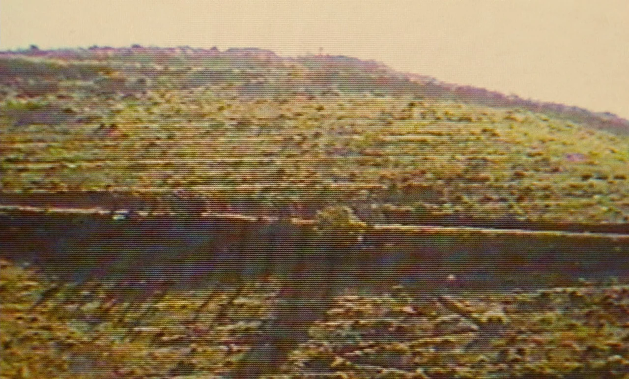 Taste of Cherry (1997) movie still: establishing — A rolling hilly landscape stretches across the frame with sparse vegetation and low light. A dark…