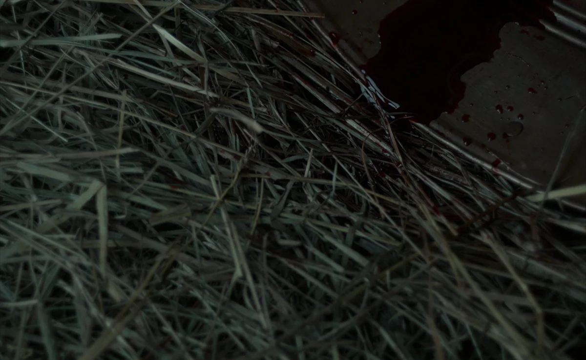 The Witch (2015) movie still: closeup — A pile of dry scattered hay sits next to a metallic object. A dark red stain of blood pools onto the edge of…