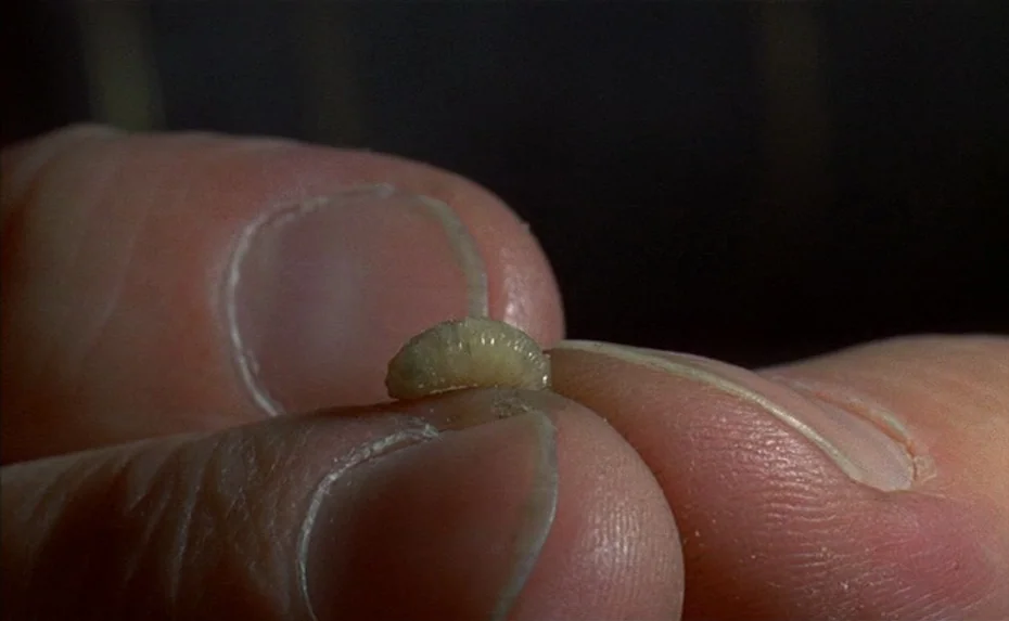To The Devil a Daughter (1976) movie still: closeup — A close-up view shows a small pale larva held between two human fingers. The background is out…