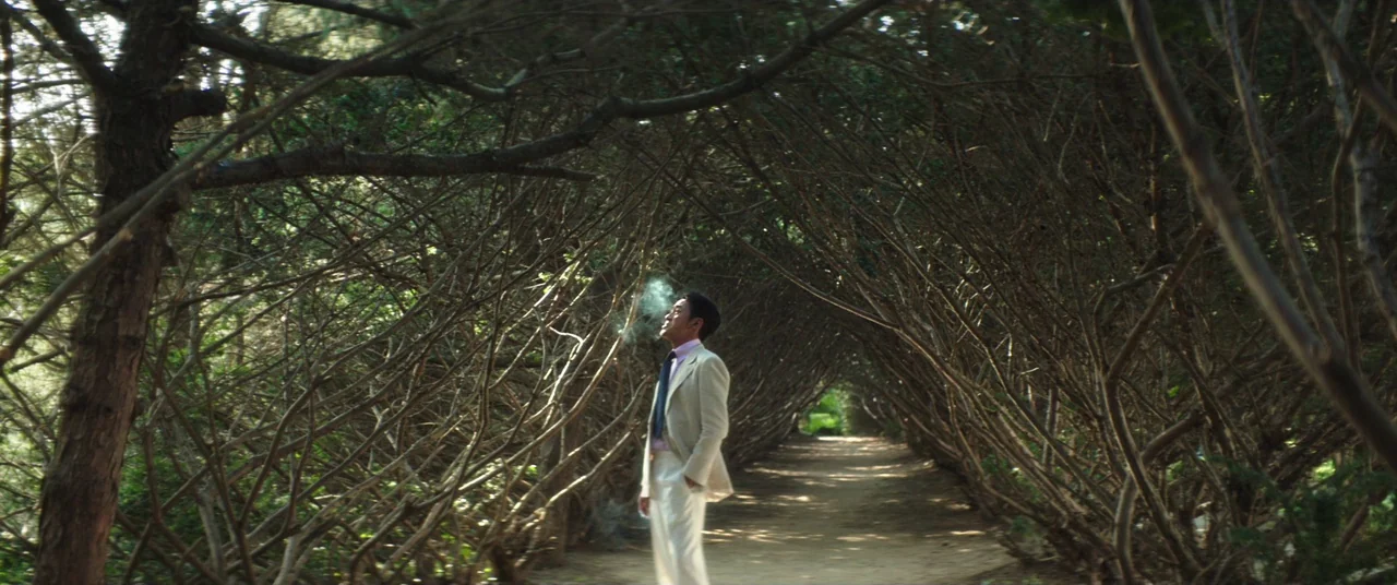 The Handmaiden (2016) movie still: fullbody — A narrow dirt path is enclosed by two rows of dense, leafless tangled branches. A man in a…