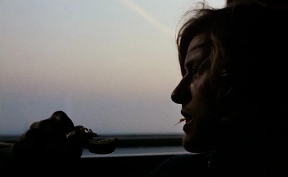 Turkish Delight (1973) movie still: closeup — The interior of a moving train car shows a man in silhouette against a window. He holds a small dark…