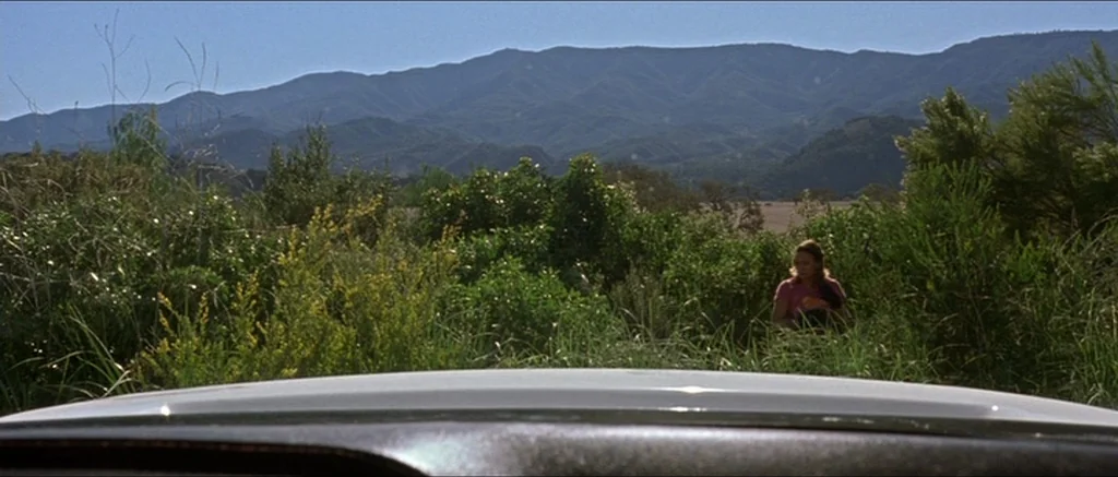 Death Proof movie still: wide — A view from inside a vehicle looking out at a grassy field. A young woman stands amidst dense green foliage with…