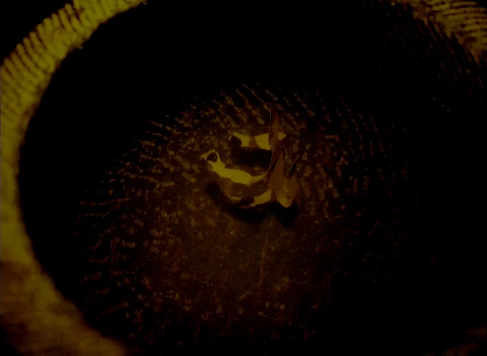 The Assassin (2015) movie still: closeup — The interior of a textured dark vessel is illuminated by a narrow light beam. A small reflective metallic…