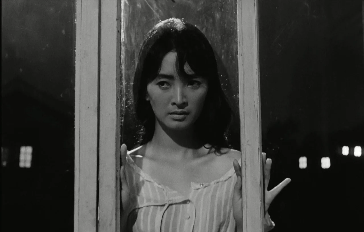 The Housemaid (1960) movie still: closeup — A woman stands behind a large glass window at night. She looks forward while her hands rest against the…