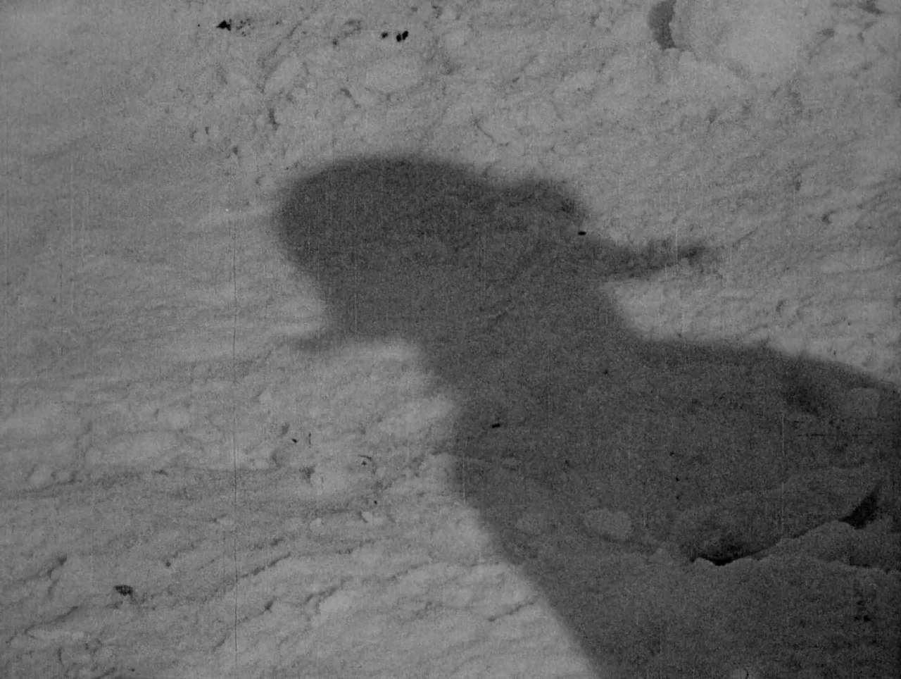 Napoleon (1927) movie still: closeup — A grainy black and white surface of light-colored sand features a prominent shadow. The shadow displays the…