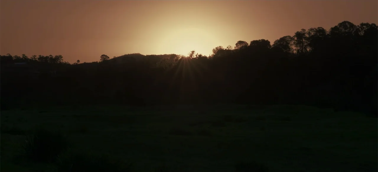 Boar (2018) movie still: establishing — A field of grass stretches toward a treeline beneath a golden sunset sky. The sun is obscured by the…