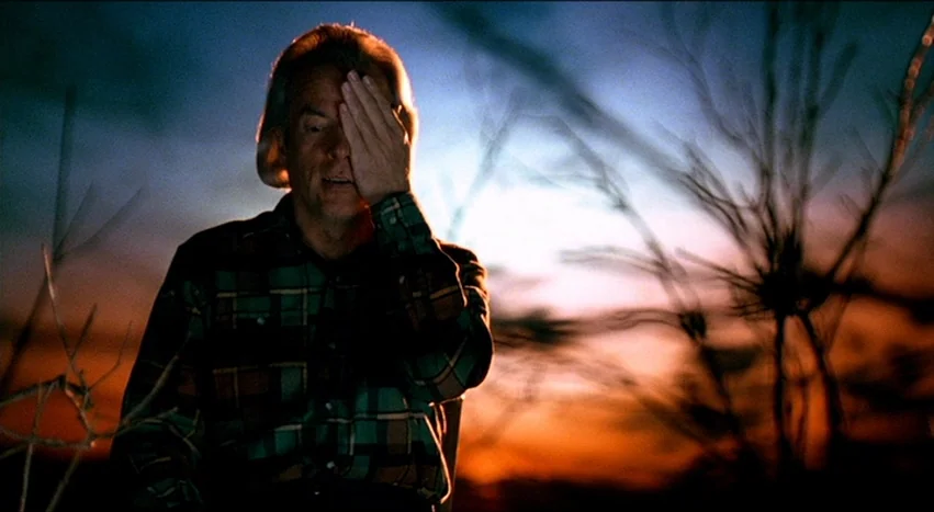 Gray’s Anatomy (1996) movie still: medium — A man stands outdoors in a field against a colorful sunset sky at dusk. He holds his hand over his left…