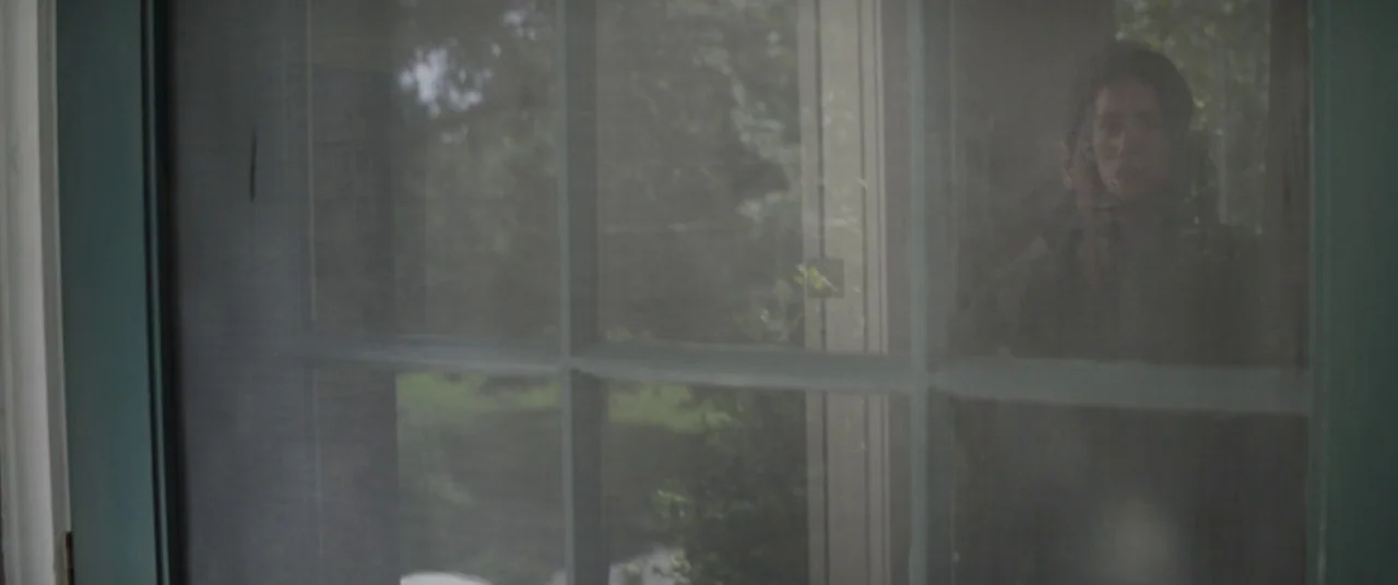 Avengers: Endgame (2019) movie still: medium — A person stands outside behind a windowed screen door looking into a home. The view through the glass…