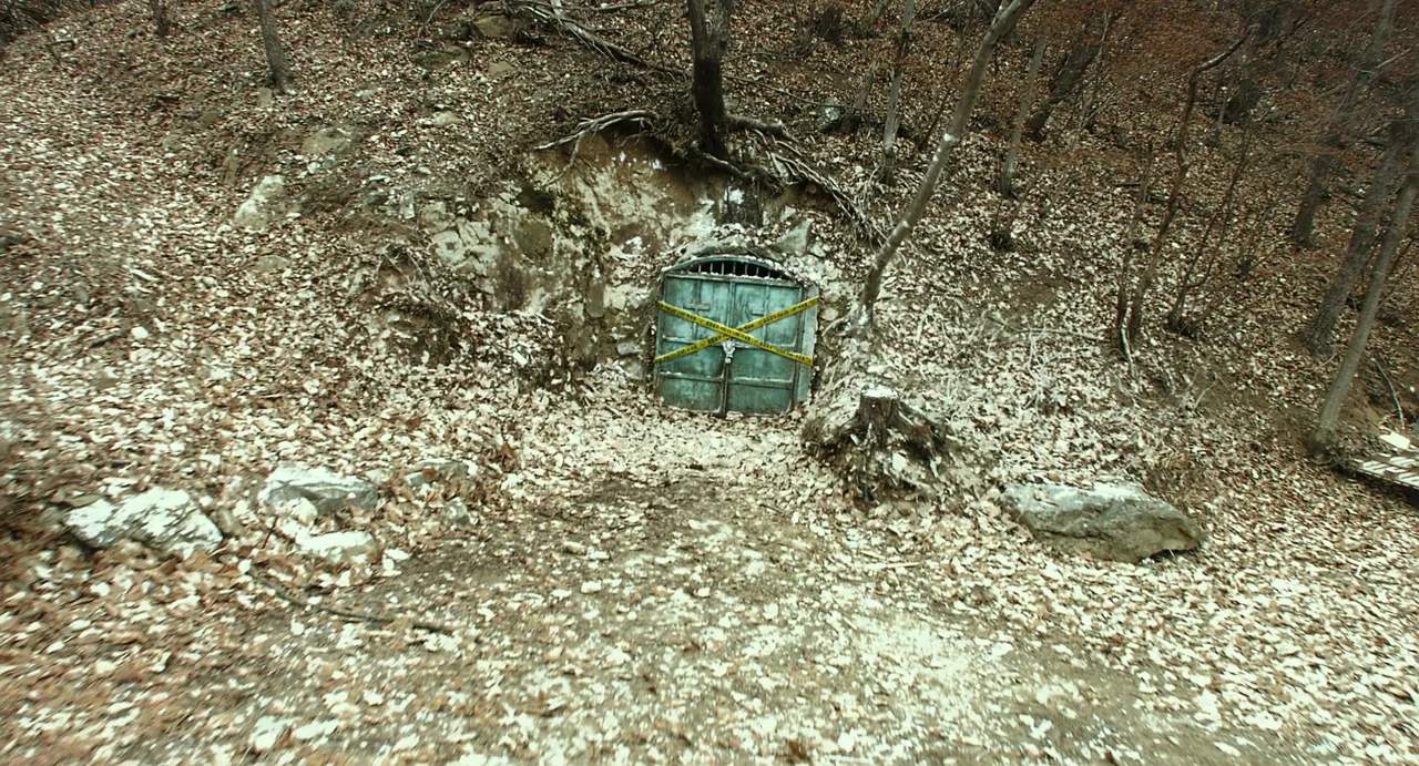 The Mimic (2017) movie still: wide — A metal door is embedded into a dirt hillside and covered in autumn leaves. The door is crisscrossed with…