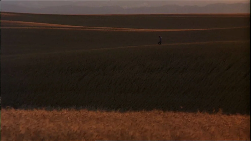 Days Of Heaven (1978) movie still: wide — Vast rolling wheat fields stretch to the horizon under a soft sunset sky. A solitary person walks along…