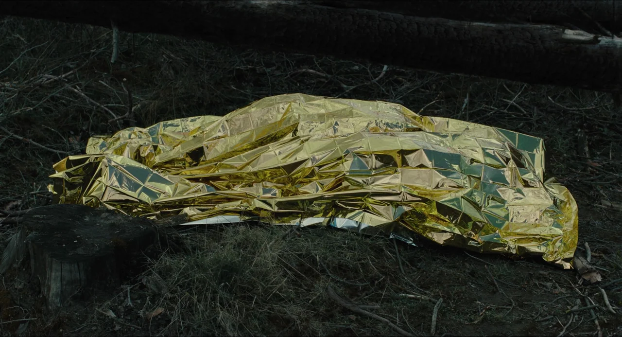 Afire (2023) movie still: medium — A crinkled, reflective gold emergency blanket lies on the dark, damp forest floor. A fallen, scorched log lies…