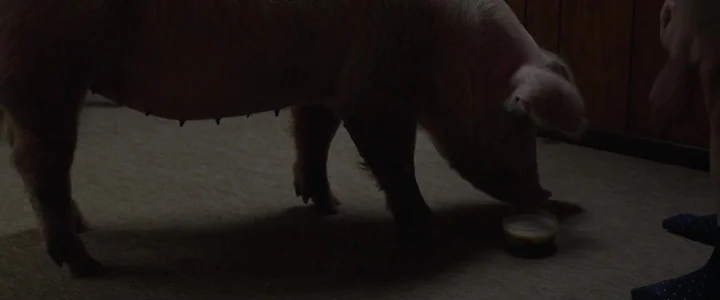 To Dust - Nightmares (2018) movie still: medium — A dark indoor space features tan carpeting and dark wood paneling on the walls. A pig stands on…