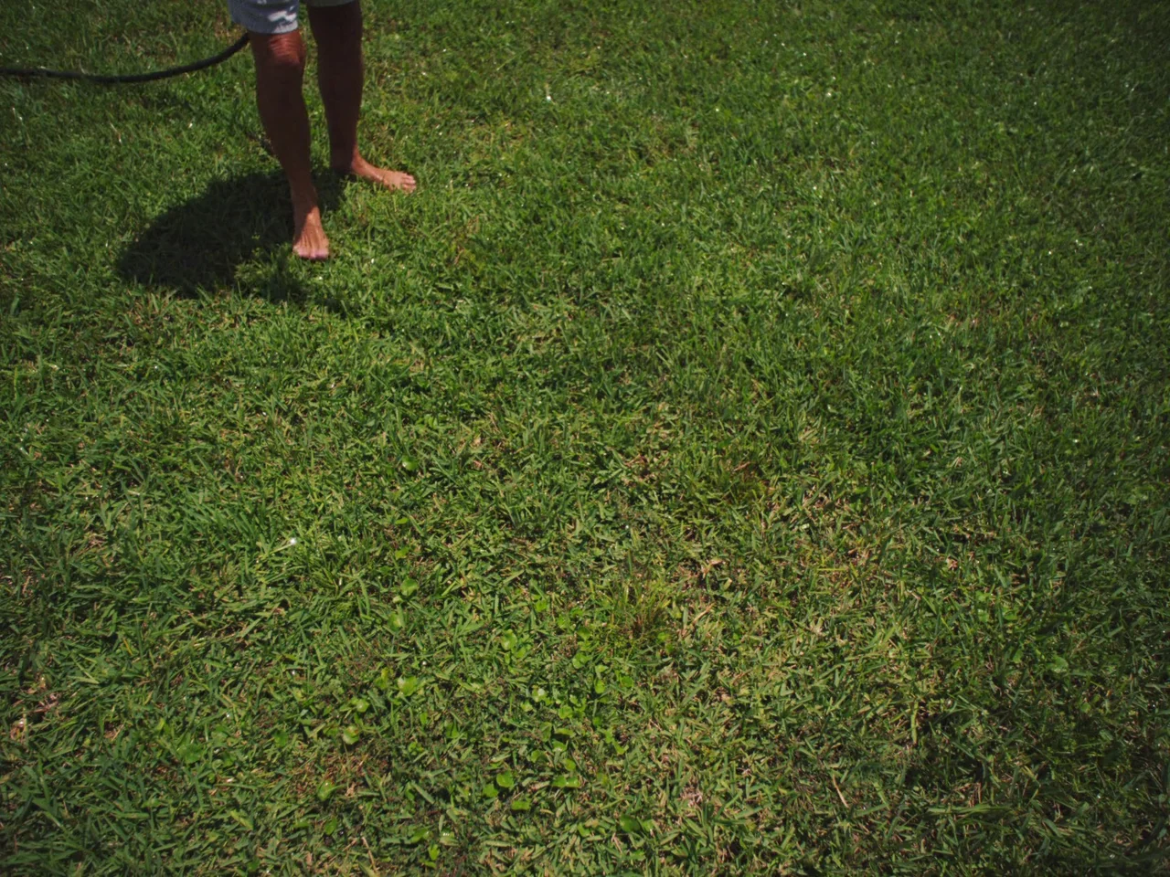 Some Kind Of Heaven (2020) movie still: wide — A patch of bright green grass is seen from a high angle. A person wearing light shorts stands…
