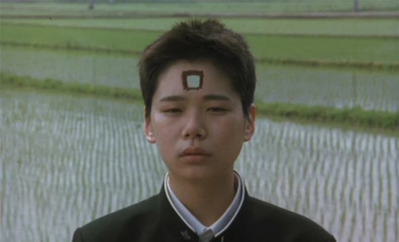 The Taste of Tea (2004) movie still: closeup — A student stands in front of a wide, flat rural rice field. The person has a small square shape…