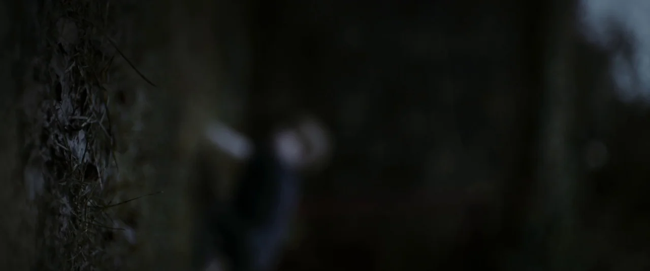 The Hole in the Ground (2019) movie still: wide — An out-of-focus dense cluster of trees and dark vegetation fills the frame. Light levels are…