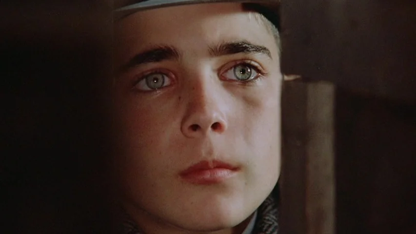 Once Upon A Time In America (1984) movie still: closeup — A close-up shot of a young boy looking through a vertical crack in wood. Dark wooden…