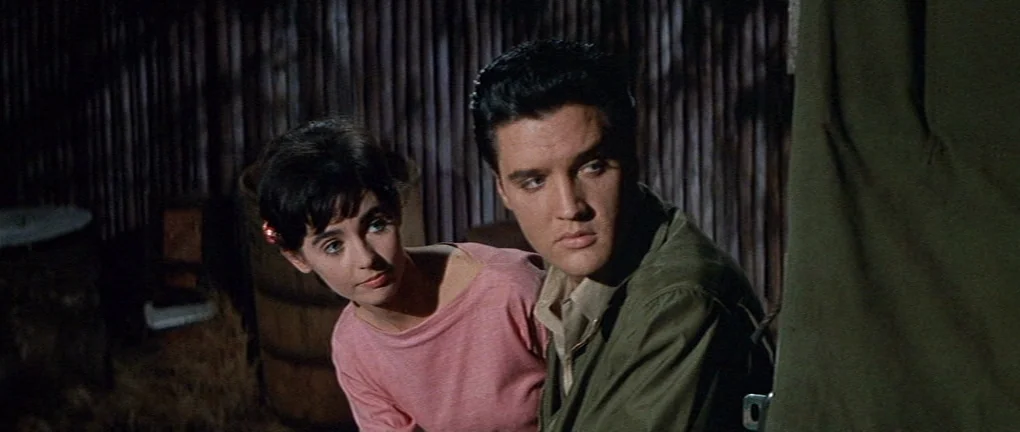 Wild in the Country (1961) movie still: medium — A dark wooden shed with vertical slat walls provides a rustic backdrop for two people. A young man…