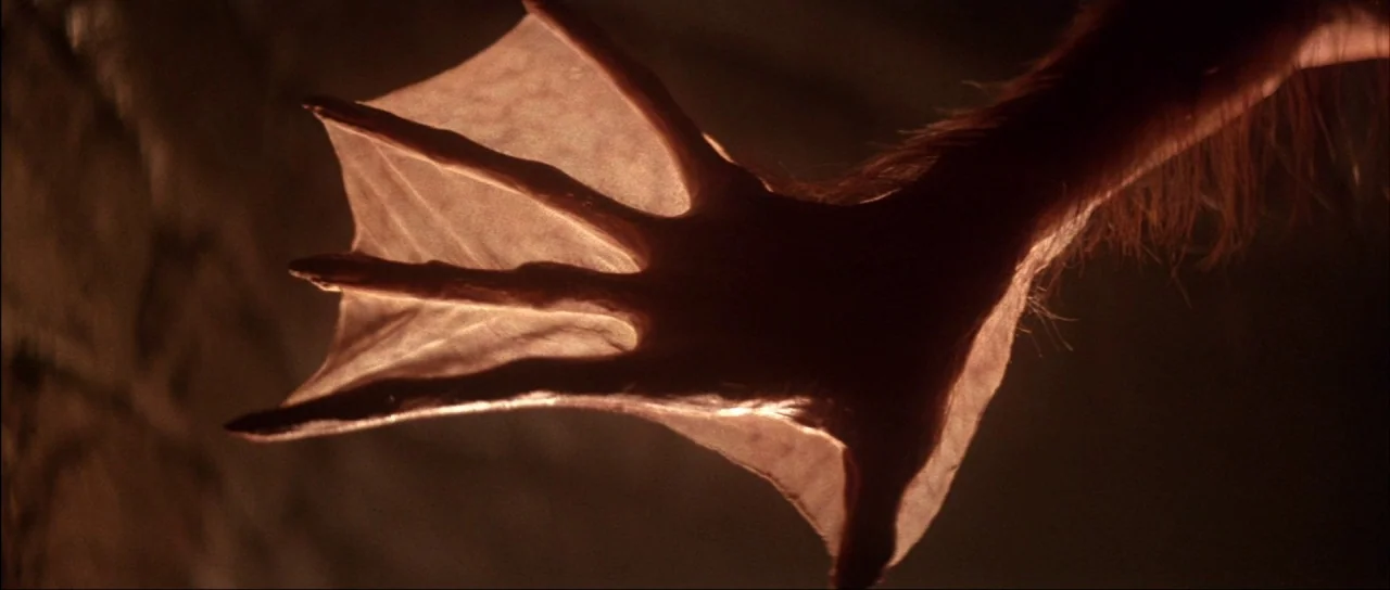 The Monster Squad (1987) movie still: closeup — A close view of a furry, webbed hand stretching across a dark textured background. The translucent…
