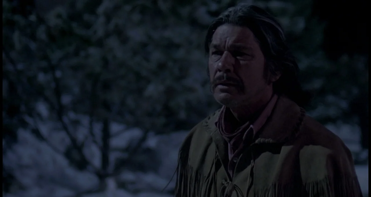 The White Buffalo (1977) movie still: medium — A dark outdoor space with indistinct shadowy trees visible in the soft night background. A…