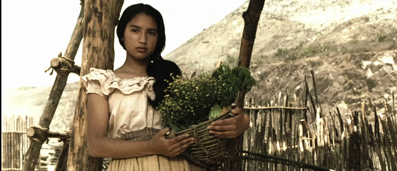 The Mexican (2001) movie still: medium — A rural setting features a wooden structure and a woven stick fence nearby. A young woman holds a basket of…