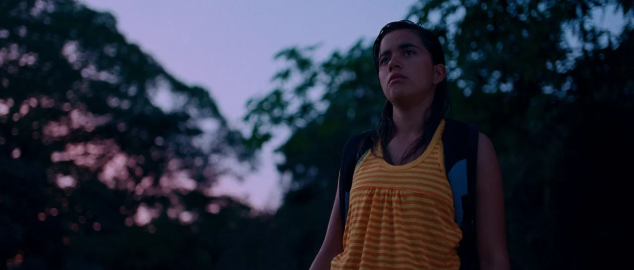 Sin Nombre (2009) movie still: medium — A person stands in a dark tropical environment at twilight with dense trees. The subject looks ahead while…