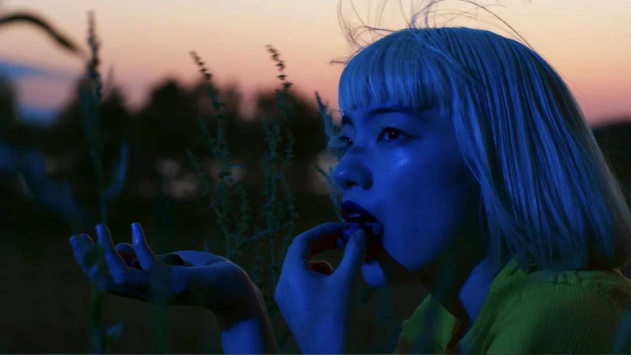Victoria's Secret: The Tour '23 (2023) movie still: closeup — A grassy field is illuminated by the fading light of a sunset. A young woman with…