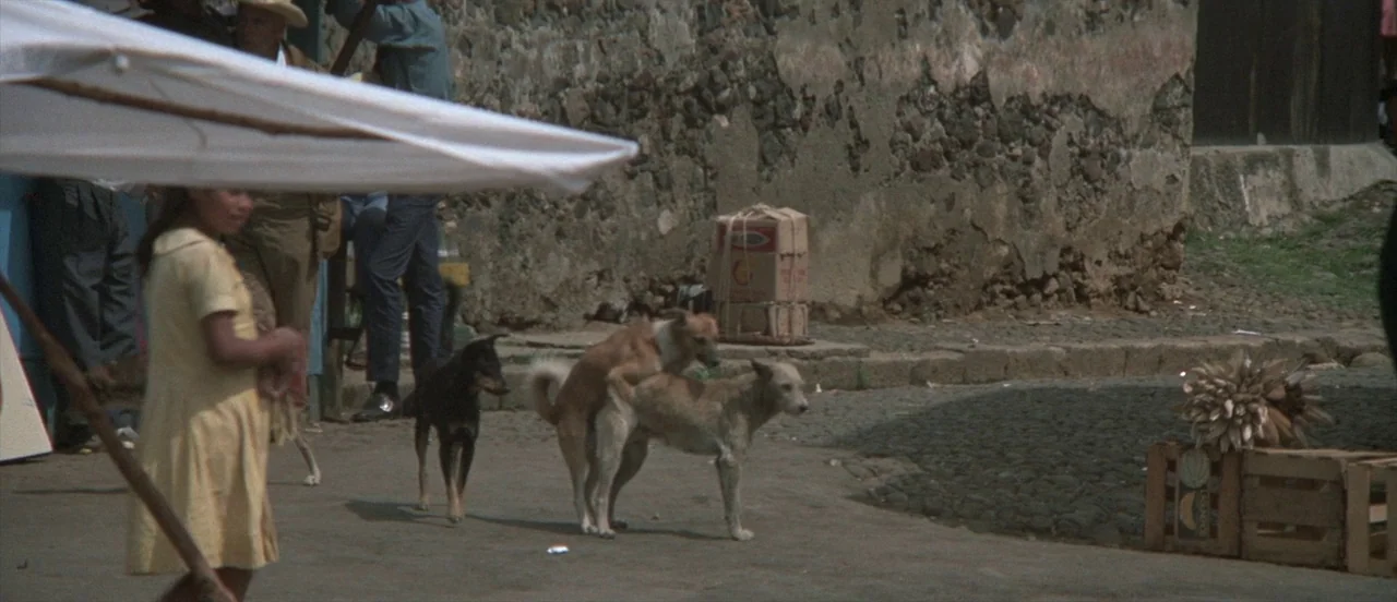 The Long Goodbye (1973) movie still: medium — A dusty outdoor plaza features a crumbling stone wall in the background near a crate. A young girl in…