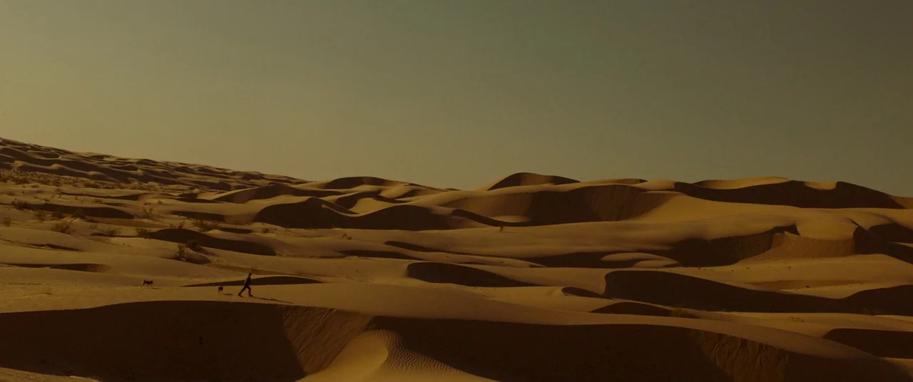 Siberia (2019) movie still: wide — A vast expanse of sandy desert dunes stretches toward the horizon under a clear sky. A lone person accompanied by…