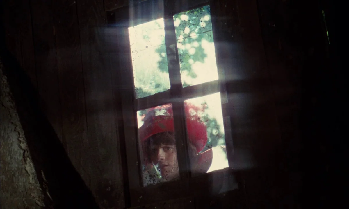 Donkey Skin (1970) movie still: closeup — A dark wooden structure with a small window shows a person standing outside. A man wearing a red hat looks…