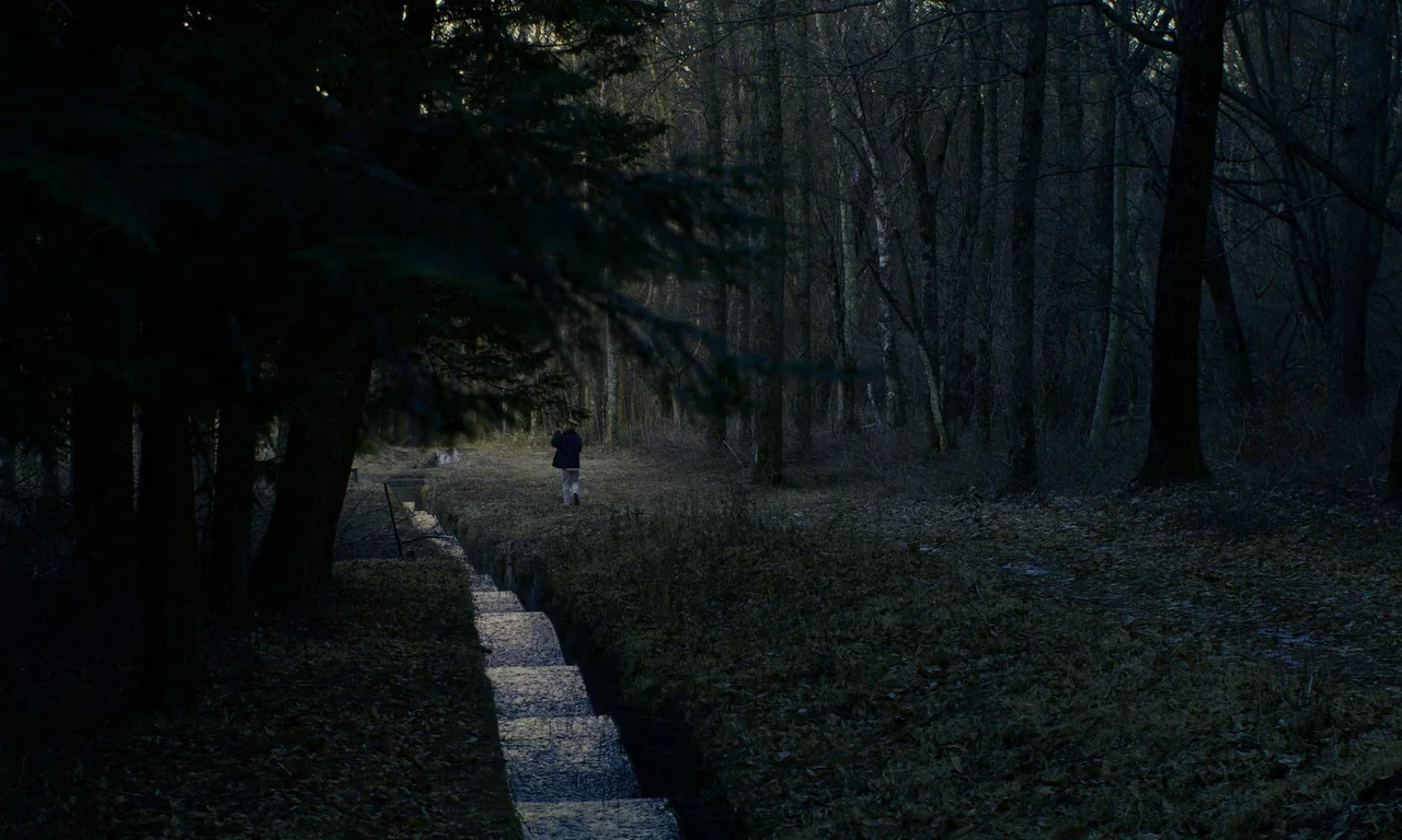Evil Does Not Exist (2023) movie still: wide — A dark forest environment features a narrow, stepped stone drainage channel running through leaves. A…