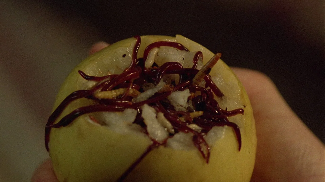 Society (1989) movie still: closeup — A close-up view shows a yellow fruit that has been hollowed out. Several dark red earthworms and white larvae…