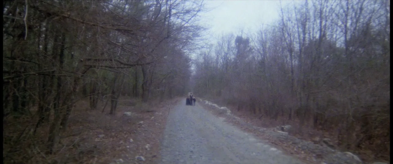 House By The Cemetery (1981) movie still: wide — A desolate dirt road cuts through a dense forest of leafless, overgrown trees. Two figures, a woman…