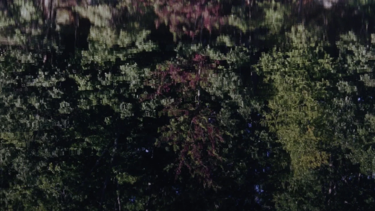 Queen of Earth (2015) movie still: establishing — The surface of a pond displays distorted reflections of overhanging trees and lush foliage.…