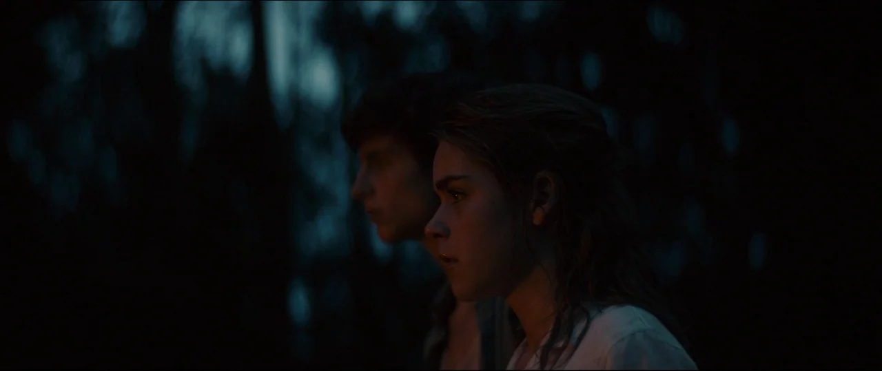 One & Two (2015) movie still: medium — Two teenagers stand in a dark, out-of-focus forest environment at night. They look forward with serious…
