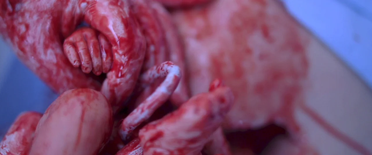 Prevenge (2016) movie still: closeup — A newborn infant lies covered in blood and birth fluids on a surface. The curled limbs and umbilical cord of…
