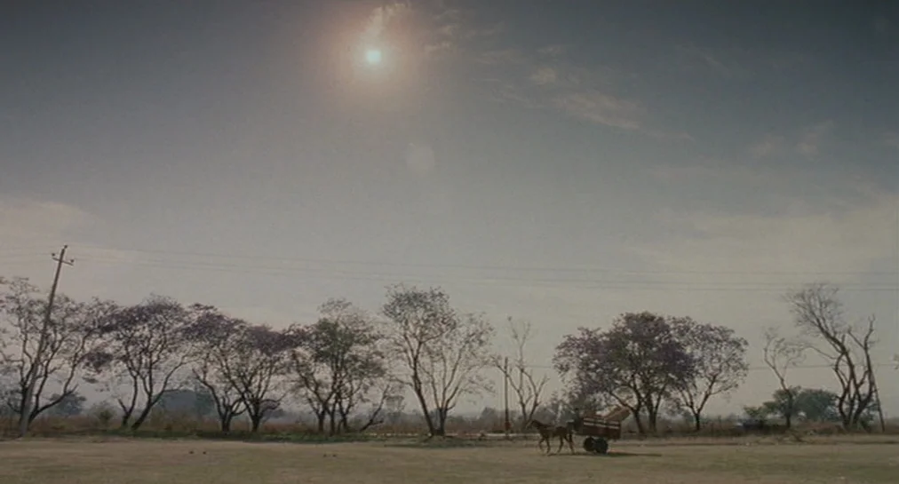 Y Tu Mamá También (2001) movie still: establishing — A vast, dry field stretches under a bright sun with bare trees in distance. A single horse…
