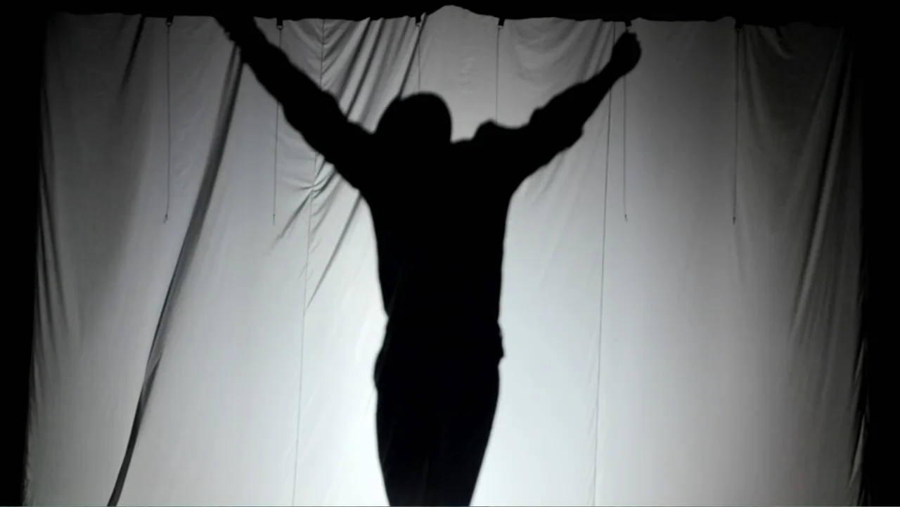Chris Brown: A History of Violence (2024) movie still: fullbody — A dark human silhouette stands against a large, vertically pleated white fabric…
