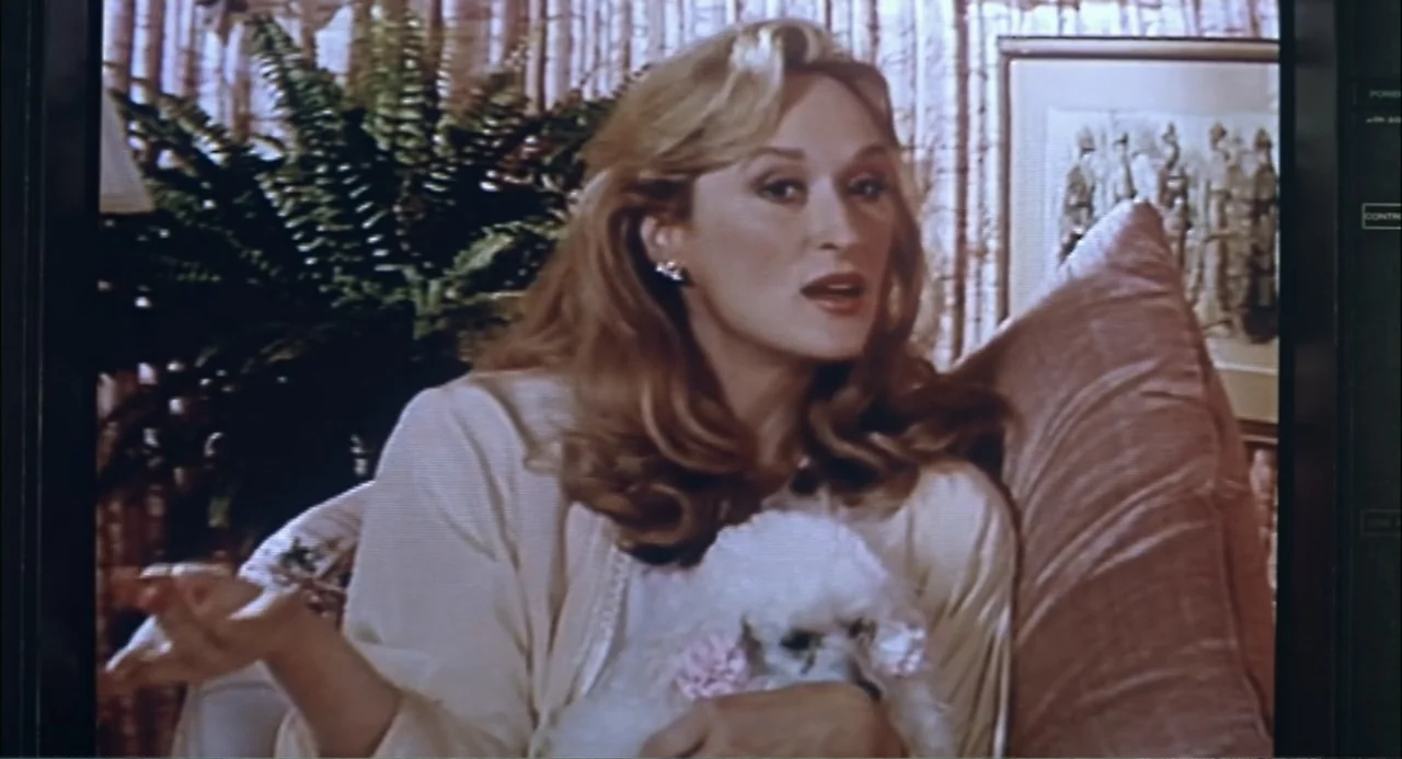 She-Devil (1989) movie still: medium — A woman sits in a living room with bamboo-textured walls and framed artwork. The woman holds a small white…
