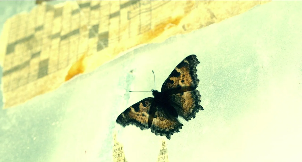 Trim Season (2023) movie still: closeup — A butterfly with mottled brown wings sits on a light-colored, textured surface. A piece of yellowed paper…