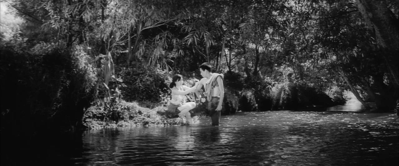 The Human Condition III: A Soldier’s Prayer (1961) movie still: wide — A dense riverbank surrounded by thick foliage and trees provides cover for…