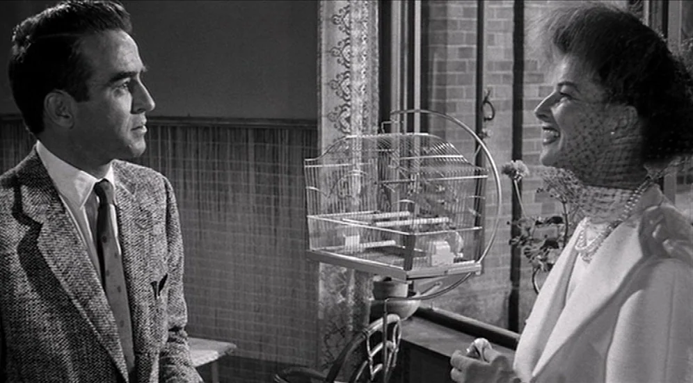 Suddenly, Last Summer (1959) movie still: medium — A light-filled sunroom features a metal birdcage positioned between two people. A man in a…