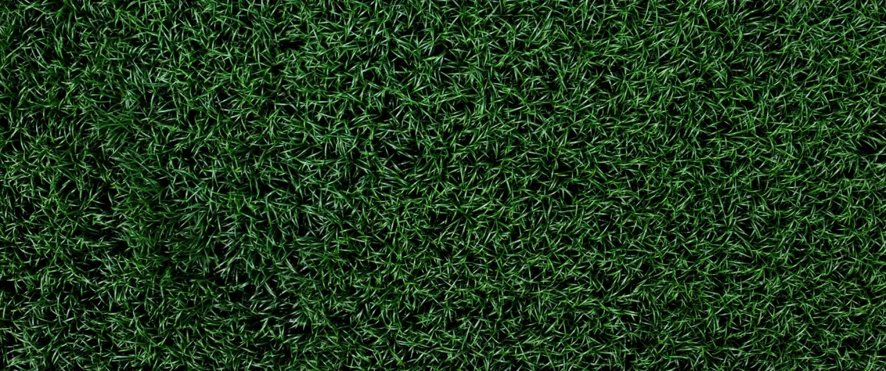 In The Tall Grass (2019) movie still: closeup — A close-up view of a thick, lush green grass lawn with tightly packed blades. Individual strands of…