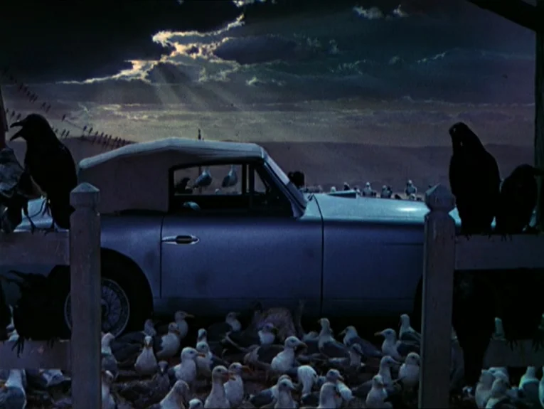 The Birds movie still: wide — A convertible car is parked behind a wooden fence under a dark, stormy sky. Numerous gulls and large black crows crowd…