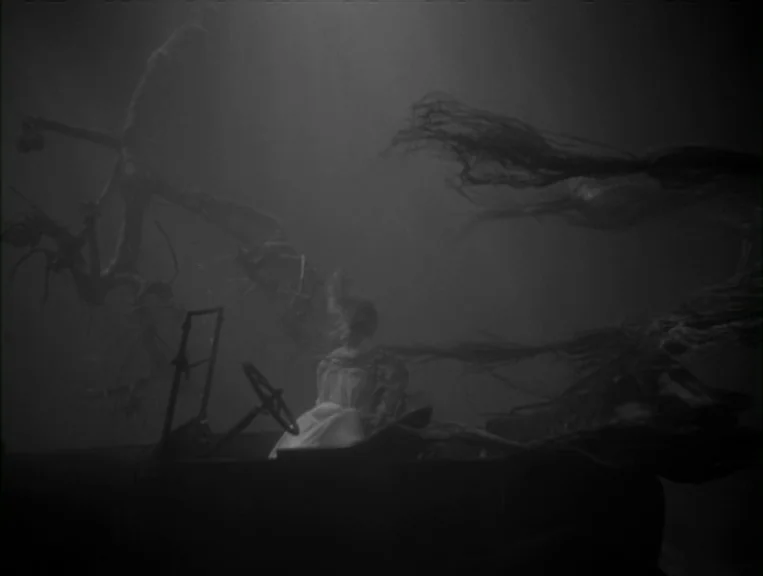 The Night Of The Hunter (1955) movie still: wide — A submerged, dark environment features a car frame settled amidst tangled underwater weeds. A…