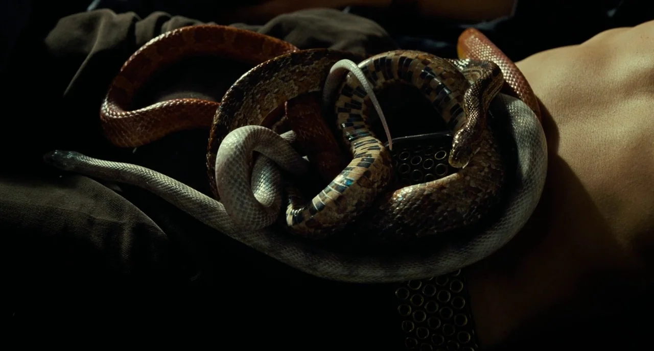 Saint Laurent (2014) movie still: closeup — Multiple snakes of varying patterns and colors are tightly intertwined on a dark surface. The animals…